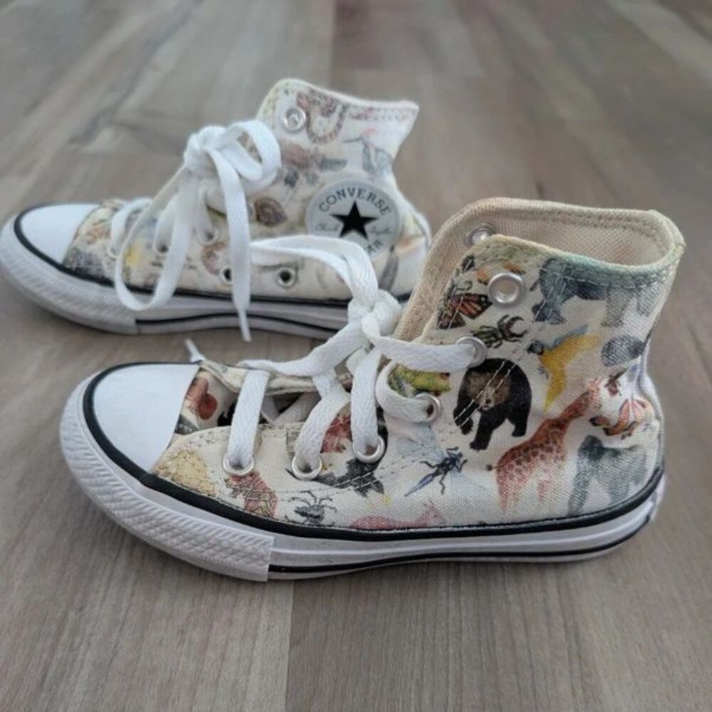 Converse Chuck Taylor All Star Science Class Hi Top Sneakers, 11C